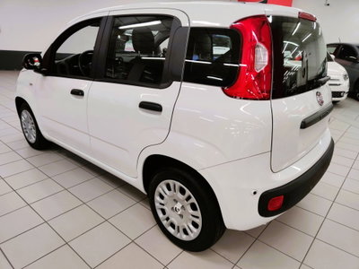 Fiat Panda Cross Cross 1.0 FireFly S&S Hybrid (5)