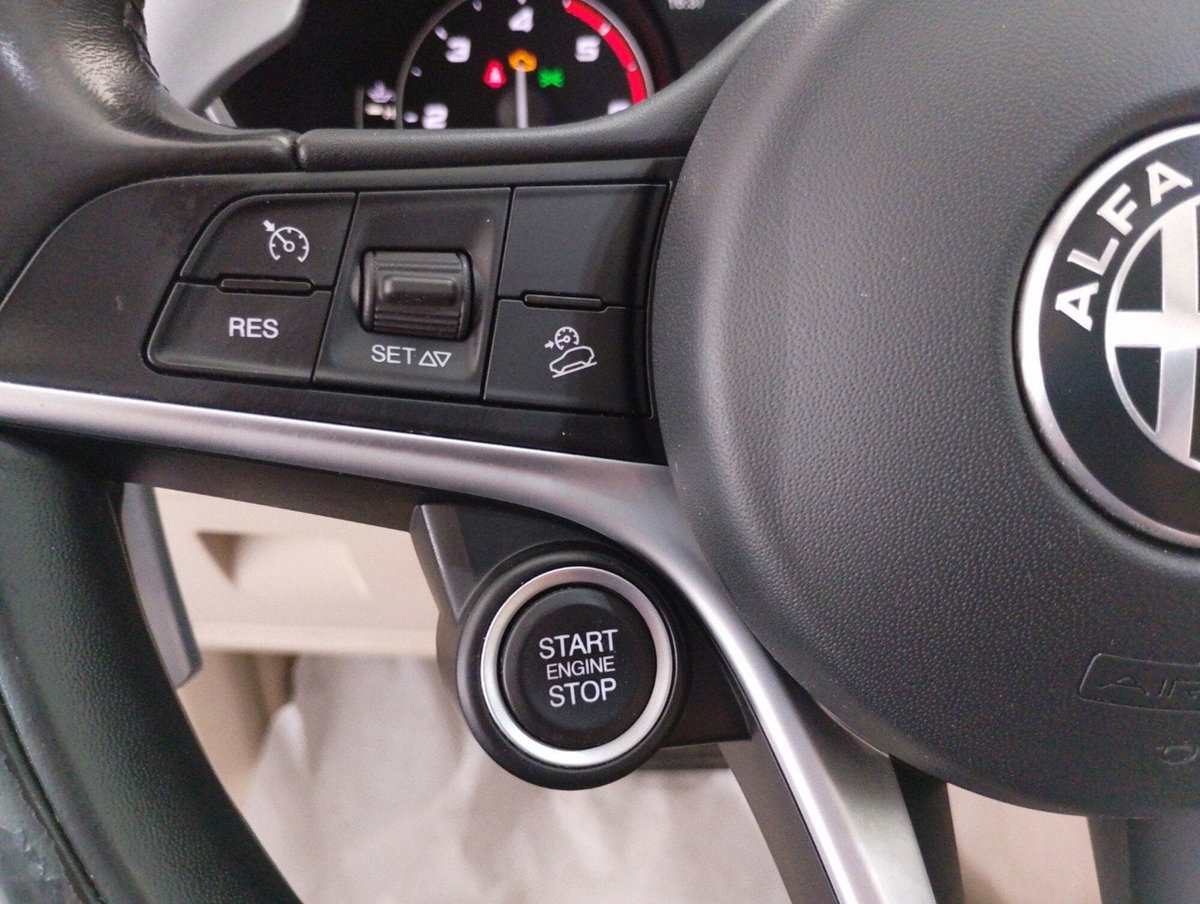 Alfa Romeo Stelvio Stelvio 2.2 Turbodiesel 210 CV AT8 Q4 Super (20)