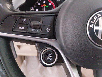 Alfa Romeo Stelvio Stelvio 2.2 Turbodiesel 210 CV AT8 Q4 Super (20)