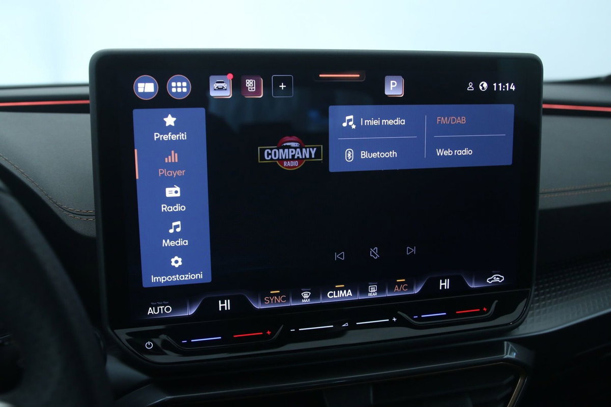 Cupra Formentor Formentor 1.5 TSI (16)