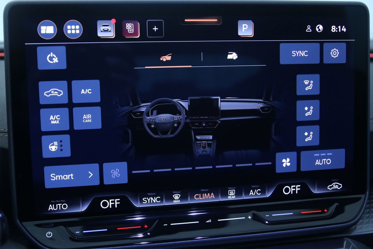 Cupra Formentor Formentor 1.5 TSI (16)