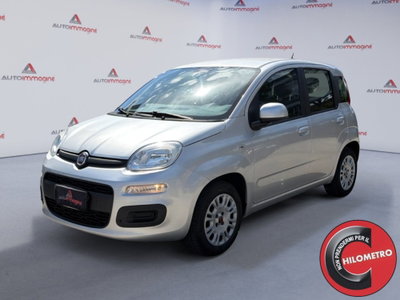 Fiat Panda 1.2 Easy usata