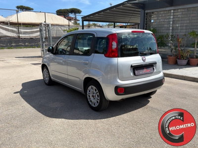 Fiat Panda 1.2 Easy (4)
