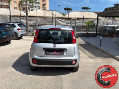 Fiat Panda 1.2 Easy (5)