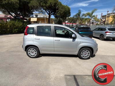 Fiat Panda 1.2 Easy (7)