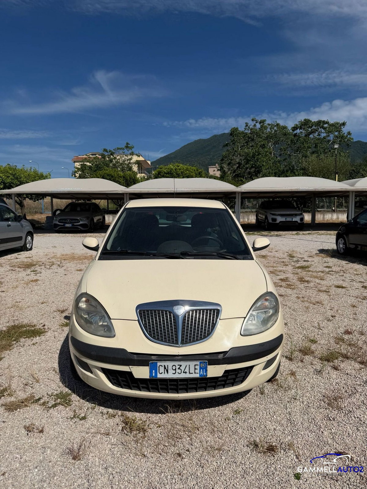 Lancia Ypsilon 1.2 69 CV 5 porte Silver