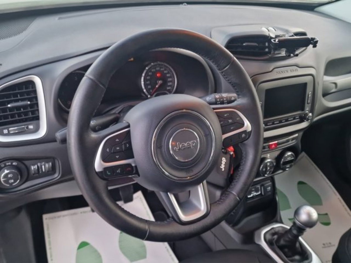 Jeep Renegade 1.6 Mjt 120 CV Limited (10)