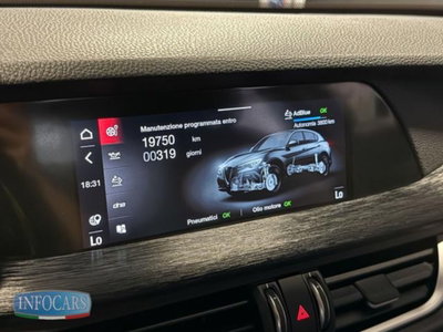 Alfa Romeo Stelvio Stelvio 2.2 Turbodiesel 190 CV AT8 Q4 Super Business (15)