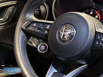 Alfa Romeo Stelvio Stelvio 2.2 Turbodiesel 190 CV AT8 Q4 Super Business (19)