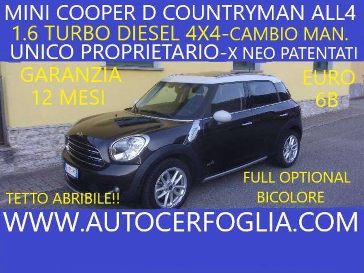 MINI Mini Countryman 1.6 Cooper D Business XL Countryman ALL4