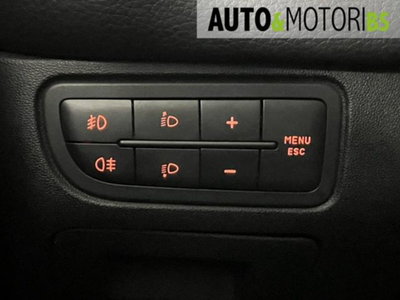 Fiat Punto Evo 1.6 Mjt DPF 5 porte S&S Emotion (19)