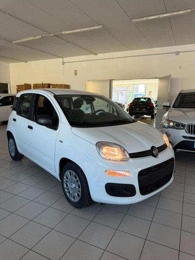 Fiat Panda 1.0 firefly hybrid Pop s&s 70cv nuova