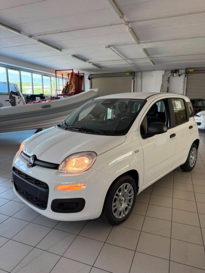 Fiat Panda 1.0 firefly hybrid Pop s&s 70cv (2)