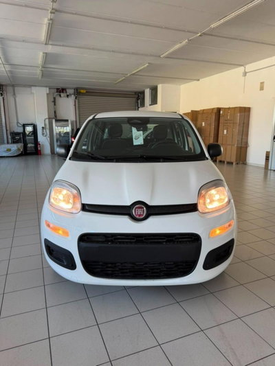 Fiat Panda 1.0 firefly hybrid Pop s&s 70cv (3)