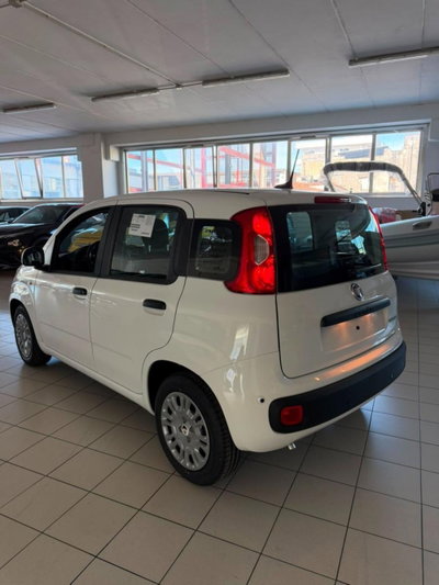 Fiat Panda 1.0 firefly hybrid Pop s&s 70cv (4)