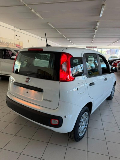 Fiat Panda 1.0 firefly hybrid Pop s&s 70cv (5)