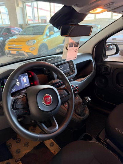 Fiat Panda 1.0 firefly hybrid Pop s&s 70cv (6)