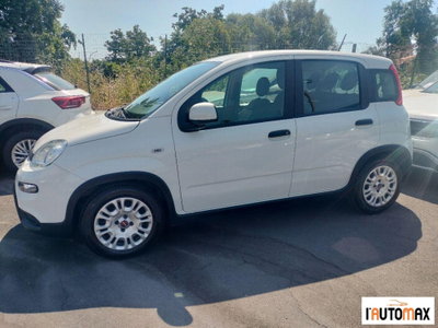 Fiat Panda 1.0 firefly hybrid s&s 70cv 5p.ti (4)