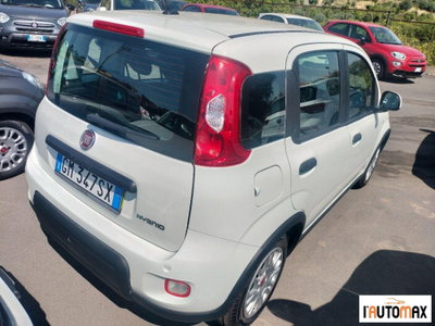 Fiat Panda 1.0 firefly hybrid s&s 70cv 5p.ti (5)