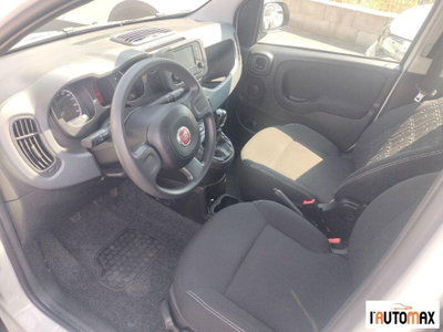 Fiat Panda 1.0 firefly hybrid s&s 70cv 5p.ti (7)