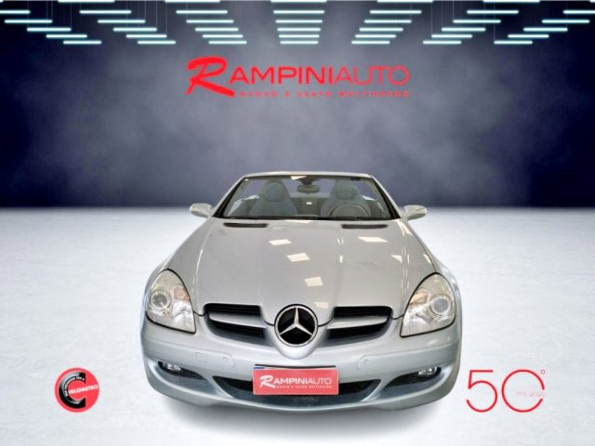 Mercedes-Benz SLK 200 Kompressor cat (4)