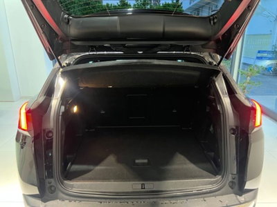 Peugeot 3008 BlueHDi 130 S&S EAT8 Allure Pack (17)