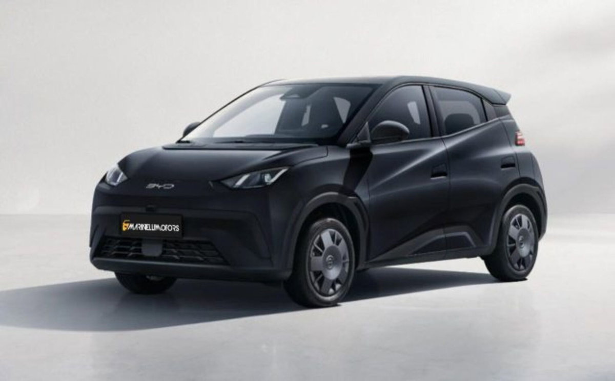 Byd Dolphin Surf 30 kWh Active (10)
