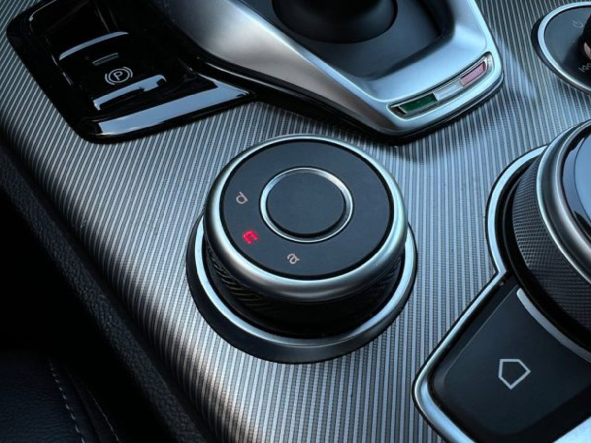 Alfa Romeo Stelvio Stelvio 2.2 Turbodiesel 210 CV AT8 Q4 Veloce (20)