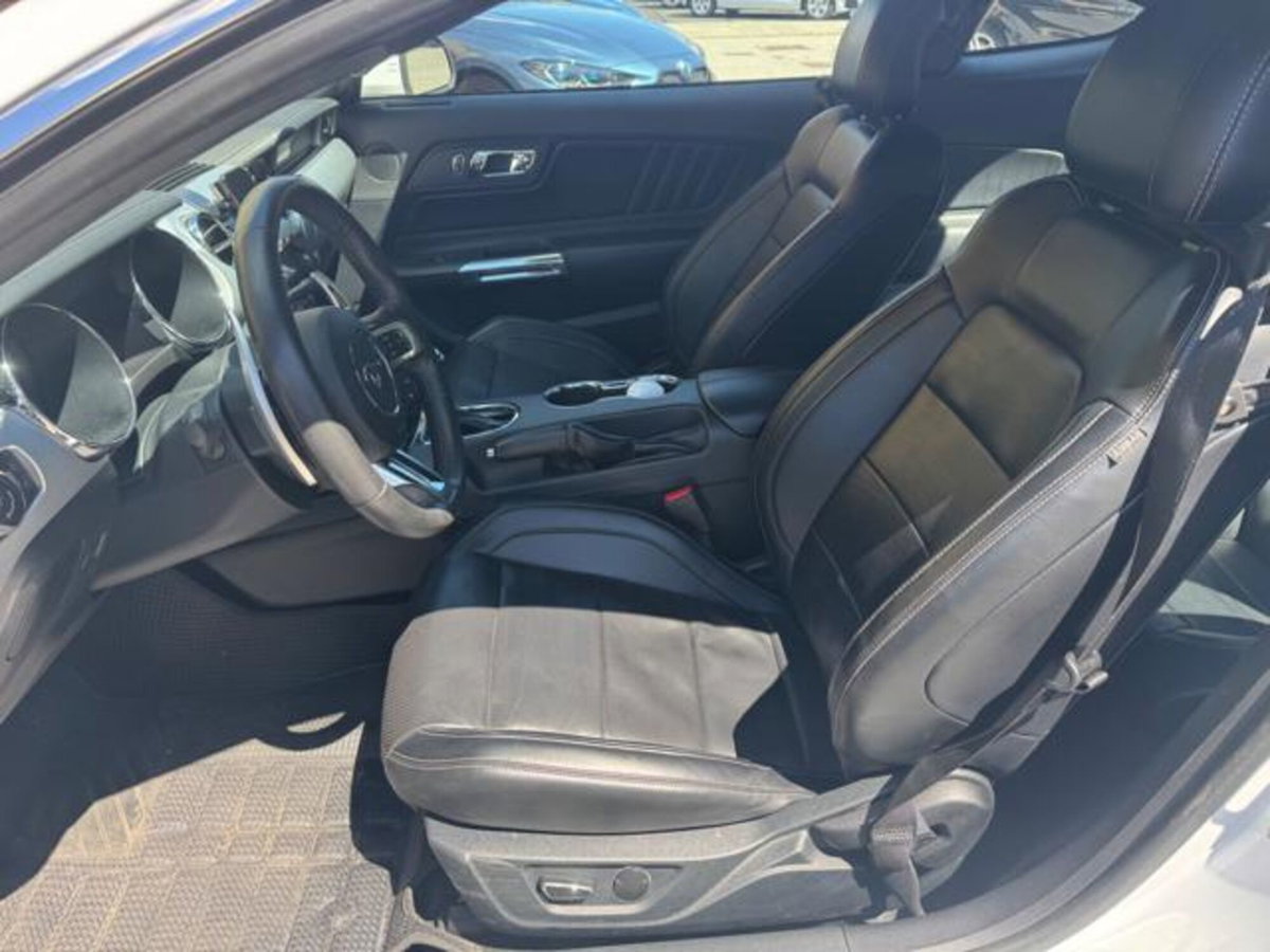 Ford Mustang Coupé Fastback 2.3 EcoBoost aut. (13)