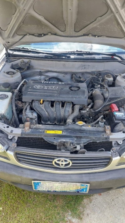 Toyota Corolla 1.4i 16V cat 3 porte Sol (2)