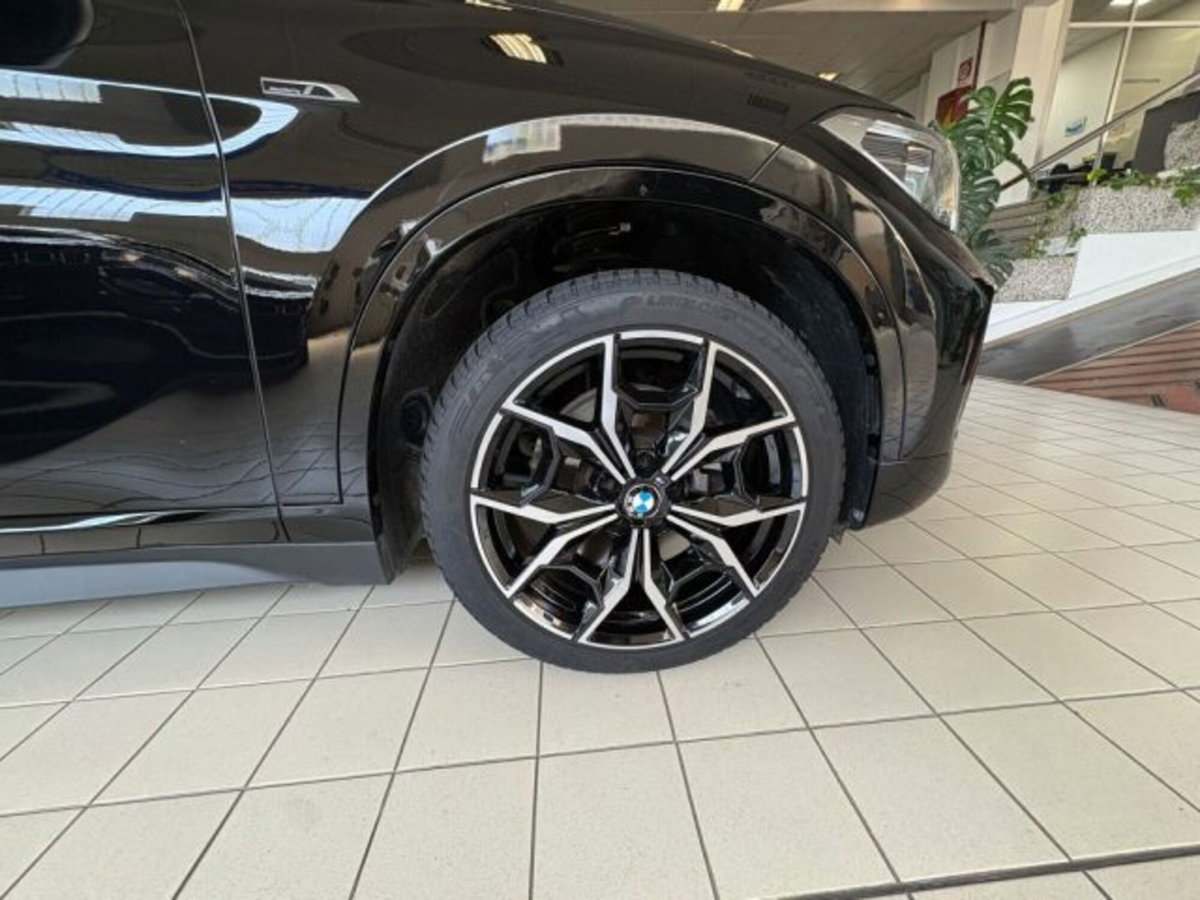 BMW X1 xDrive25e Business Advantage (6)