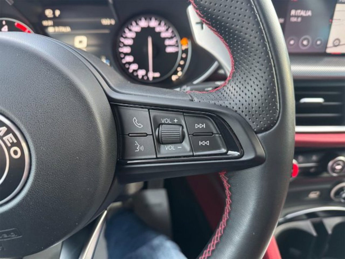 Alfa Romeo Stelvio Stelvio 2.2 Turbodiesel 210 CV AT8 Q4 Veloce (19)