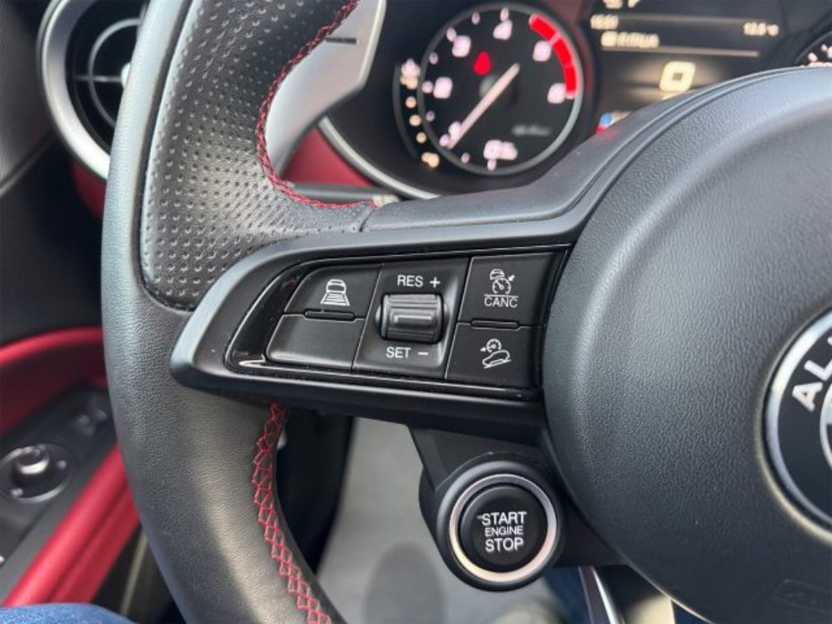 Alfa Romeo Stelvio Stelvio 2.2 Turbodiesel 210 CV AT8 Q4 Veloce (20)