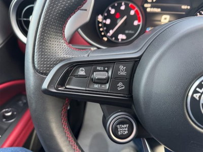 Alfa Romeo Stelvio Stelvio 2.2 Turbodiesel 210 CV AT8 Q4 Veloce (20)