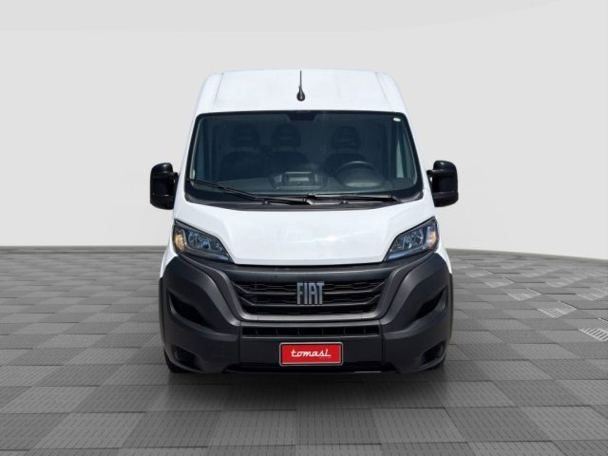 Fiat Ducato Furgone 35 2.2 Mjt 140CV PLMX-TM Maxi HD (8)