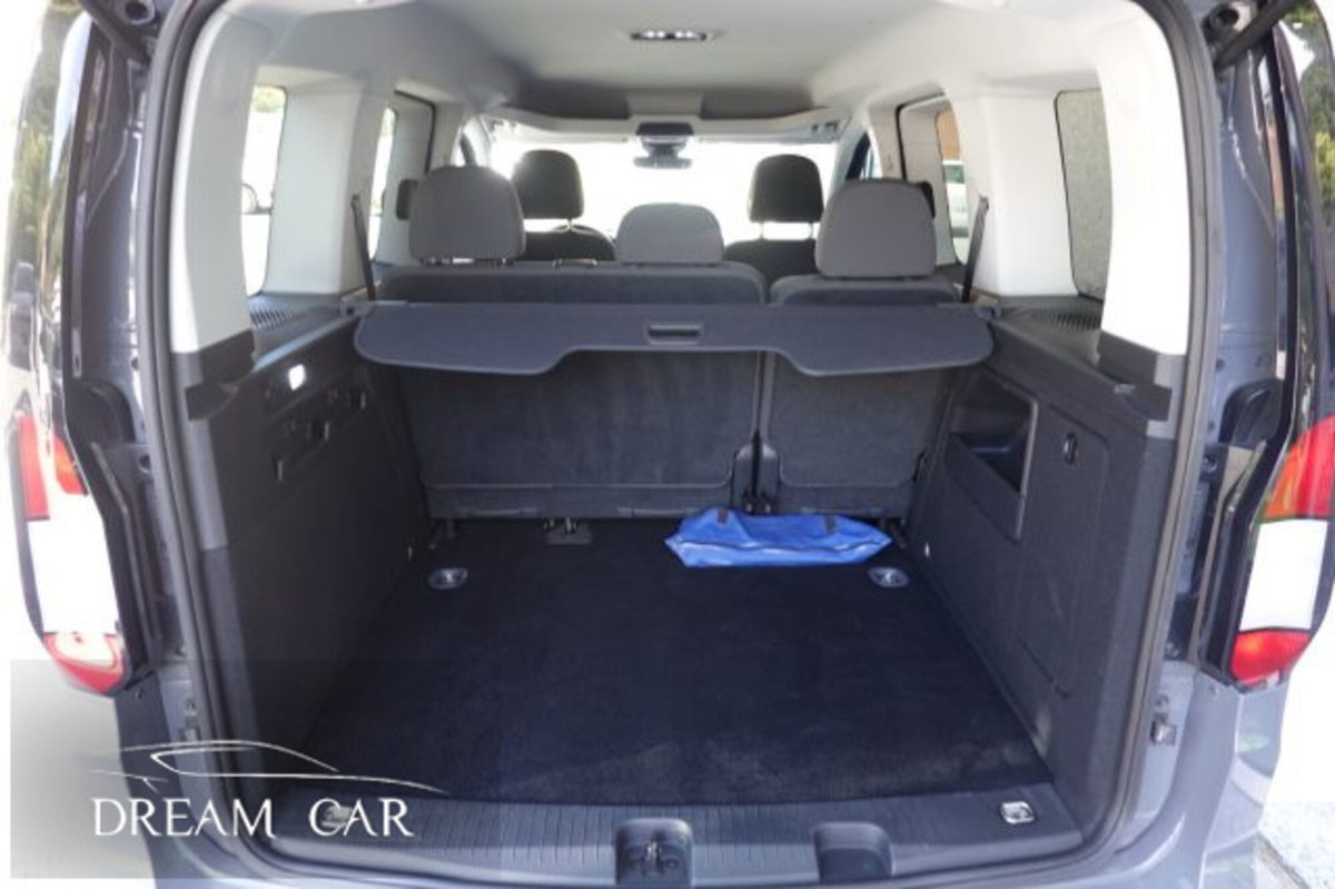 Ford Tourneo Connect Tourneo  2.0 EcoBlue 122 CV Powershift Titanium (19)