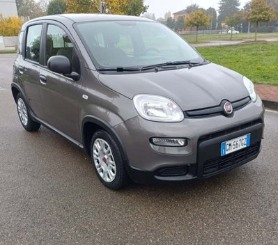 Fiat Panda Cross Cross 1.0 FireFly S&S Hybrid usata