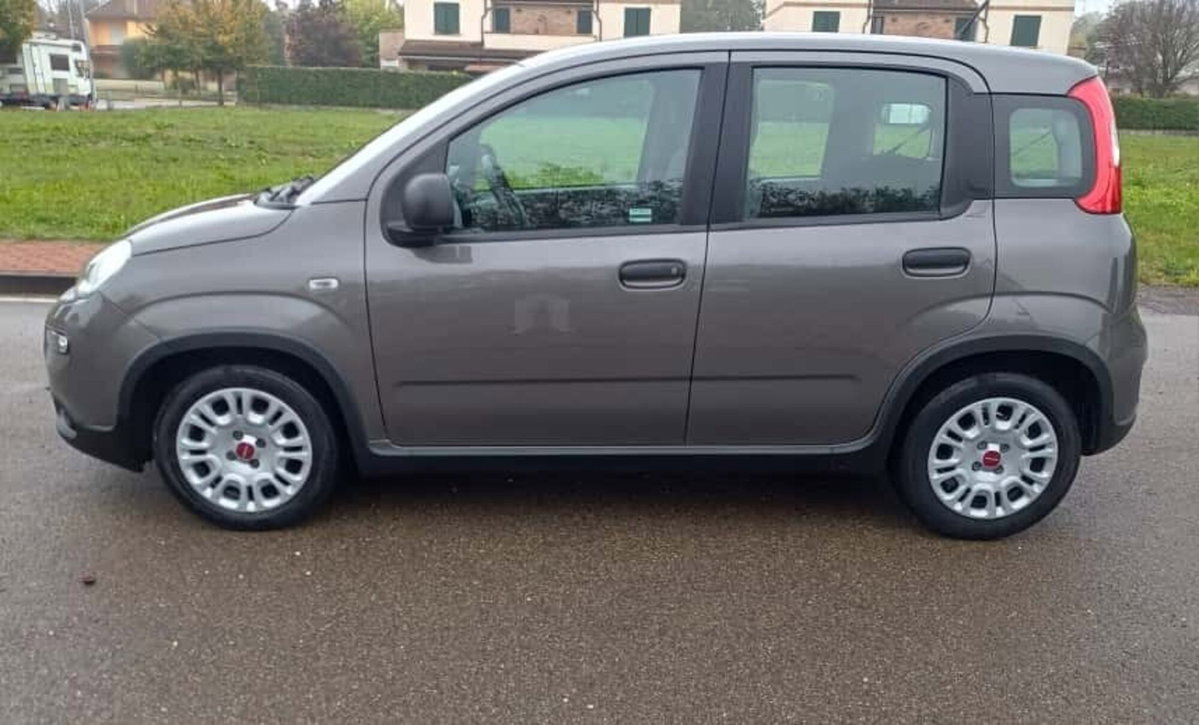 Fiat Panda Cross Cross 1.0 FireFly S&S Hybrid (12)