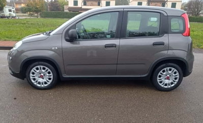 Fiat Panda Cross Cross 1.0 FireFly S&S Hybrid (12)