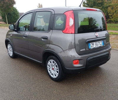 Fiat Panda Cross Cross 1.0 FireFly S&S Hybrid (16)