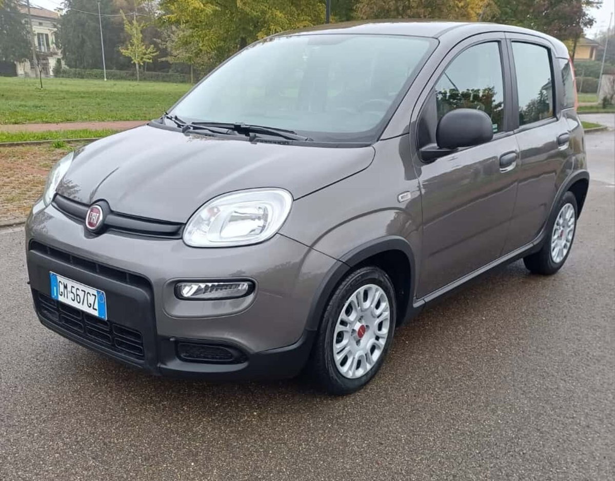 Fiat Panda Cross Cross 1.0 FireFly S&S Hybrid (3)