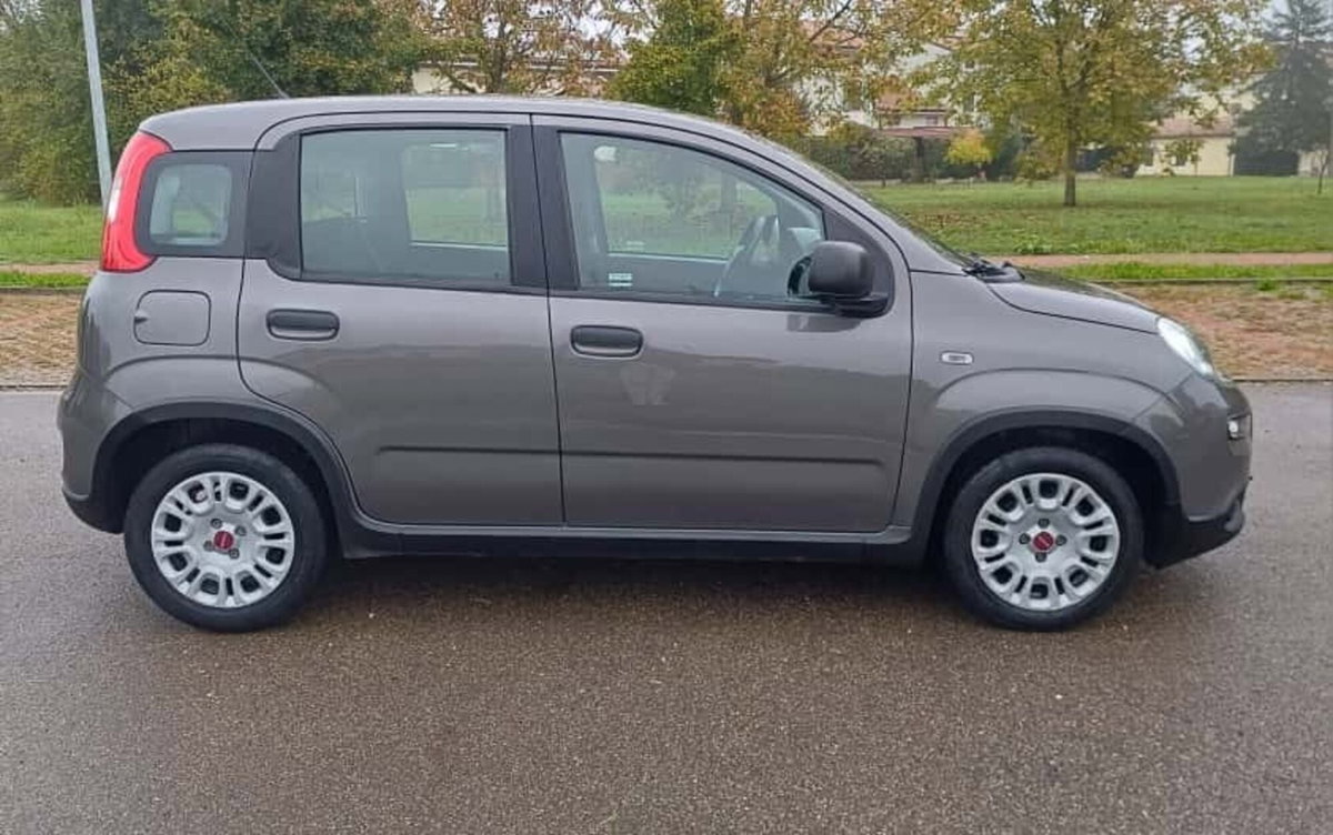 Fiat Panda Cross Cross 1.0 FireFly S&S Hybrid (4)