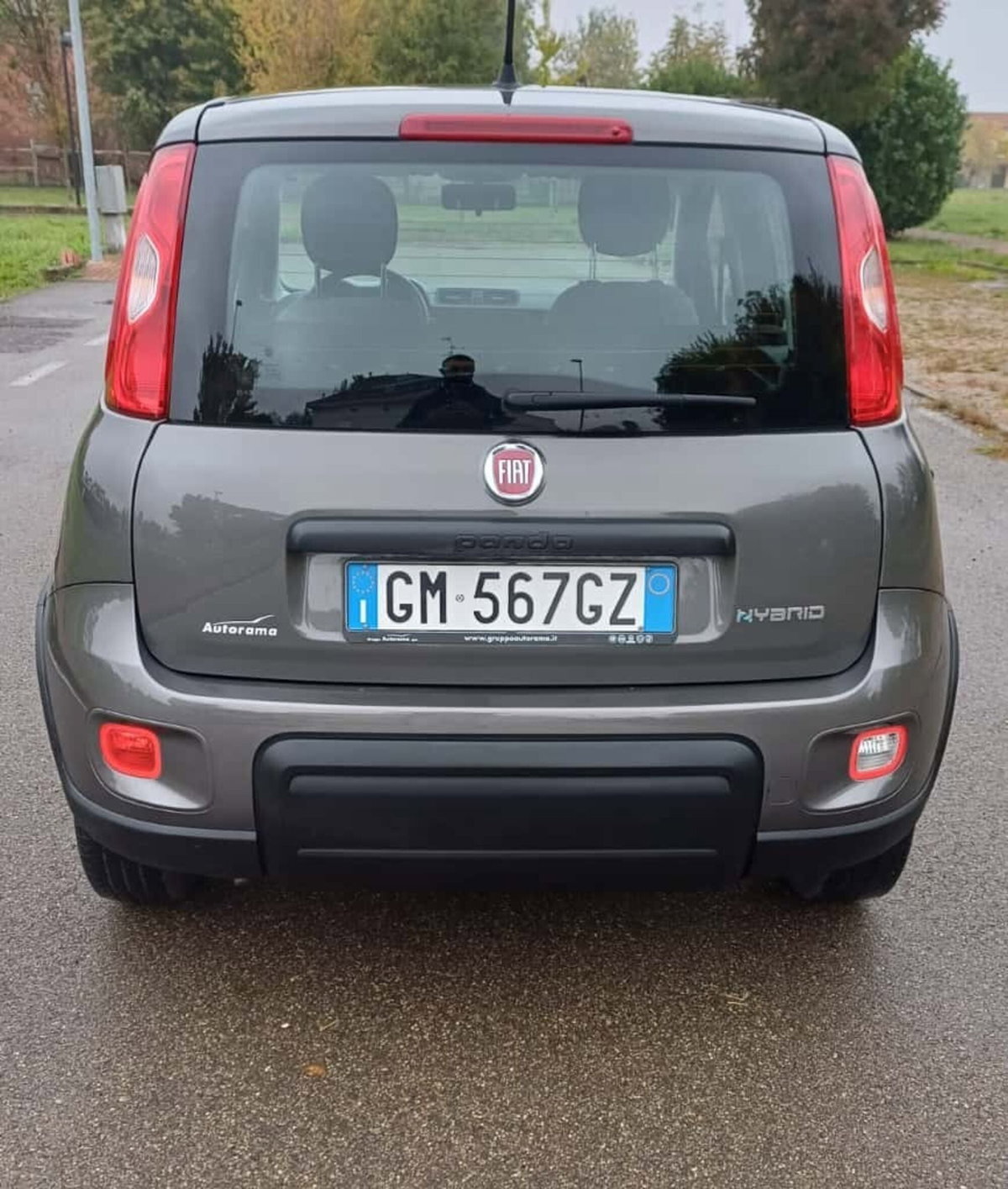 Fiat Panda Cross Cross 1.0 FireFly S&S Hybrid (5)