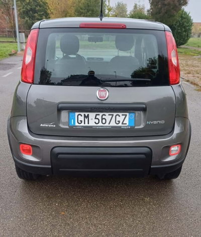 Fiat Panda Cross Cross 1.0 FireFly S&S Hybrid (5)