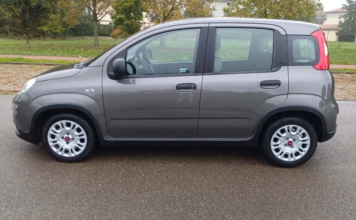Fiat Panda Cross Cross 1.0 FireFly S&S Hybrid (6)