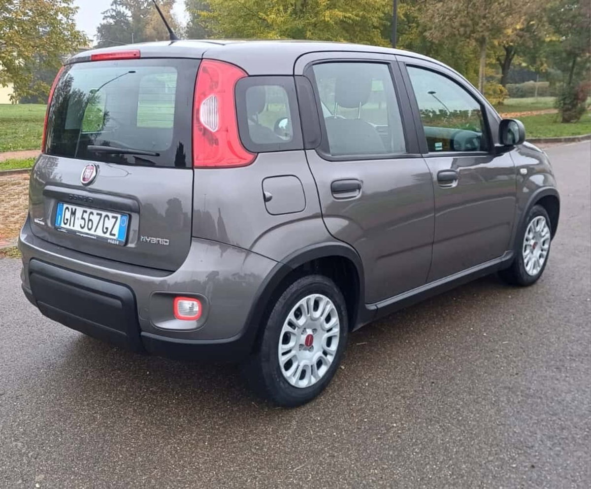 Fiat Panda Cross Cross 1.0 FireFly S&S Hybrid (8)