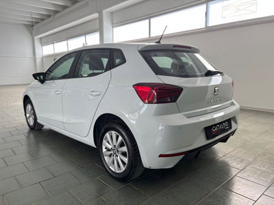 SEAT Ibiza 1.6 TDI 95 CV 5 porte Business (3)