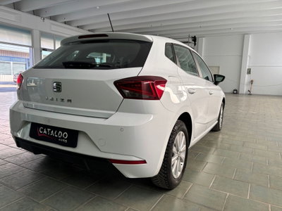 SEAT Ibiza 1.6 TDI 95 CV 5 porte Business (5)