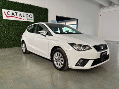 SEAT Ibiza 1.6 TDI 95 CV 5 porte Business (7)