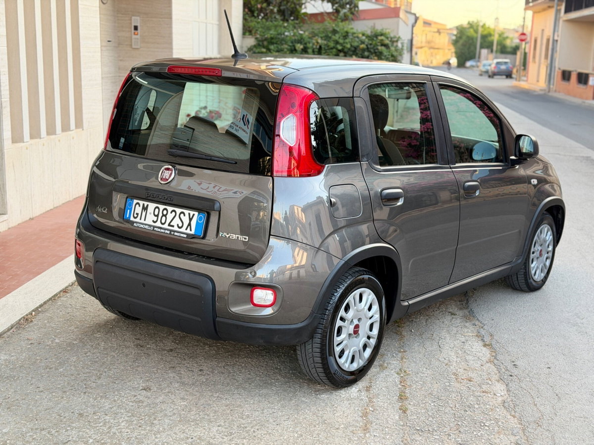 Fiat Panda 1.0 FireFly S&S Hybrid City Life (3)